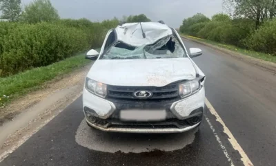 На орловской дороге водитель автомобиля пострадал в ДТП с животным