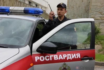 В Орле росгвардейцы пресекли хищение металла