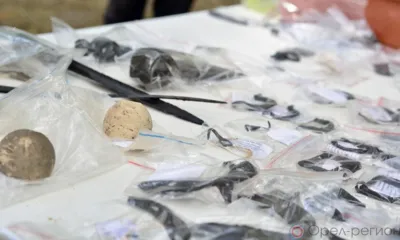 Судбищенский рубеж