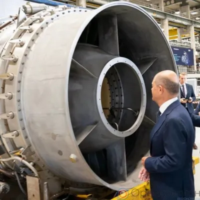 Турбинопатия