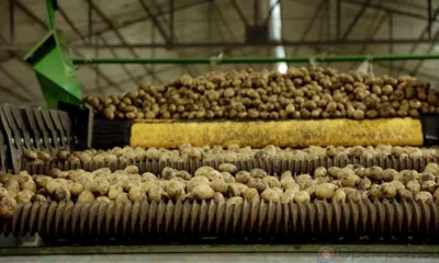 Компания «Гранд Фрайз» получила разрешение на строительство завода в ОЭЗ «Орёл»