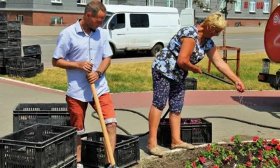 В Орле на клумбах на ул. Ленина высадили бархатцы, петунии и агератум