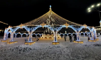 С 15 декабря в Орле начнут работу ёлочные базары