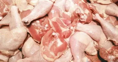 В голубцах орловского предприятия выявлены кокцидиостатики