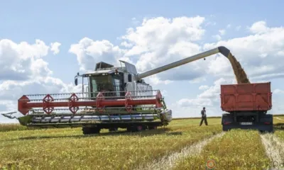 «Черкизово» засеет на Орловщине более 20 тысяч га