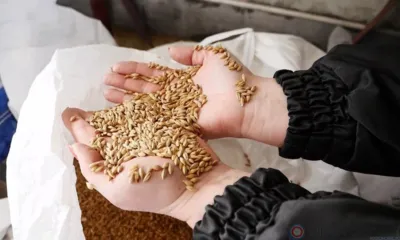 Из Орловской области в Беларусь и Латвию отправили более 1400 тонн продукции