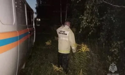 В орловском лесу искали заблудившегося ребёнка
