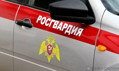 Новости Росгвардии: орловец попал из пиццерии в полицию за дебош