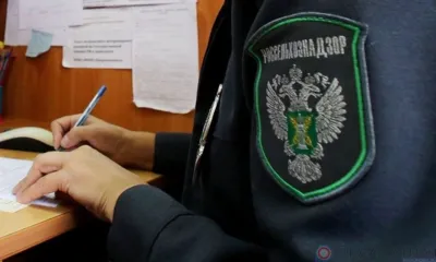 В Орловской области 19 земельных участков признаны пожароопасными