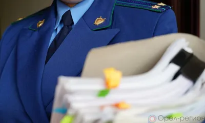 Орловец ответит в суде за подделку прав, пьяный угон автомобиля, угрозу и публичное оскорбление полицейского