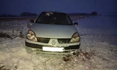 В Верховском районе женщина за рулём Renault не справилась с управлением