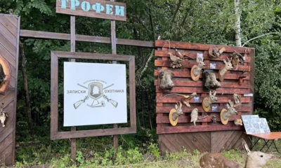 Традиционный фестиваль «Записки охотника» встретил гостей Спасского дружным собачим лаем