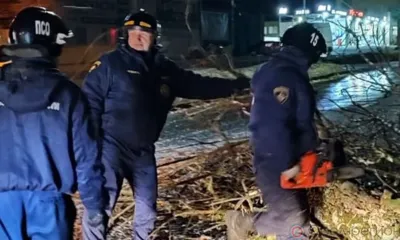 Орловские энергетики восстанавливают подачу электричества после непогоды