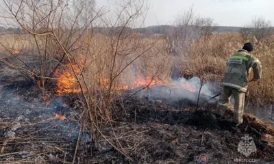 С начала года орловские пожарные более 100 раз выезжали на тушение сухой травы