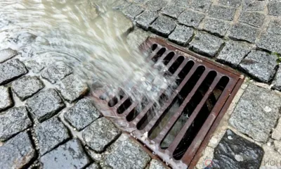 Рубрика «Компас в мире вопросов»