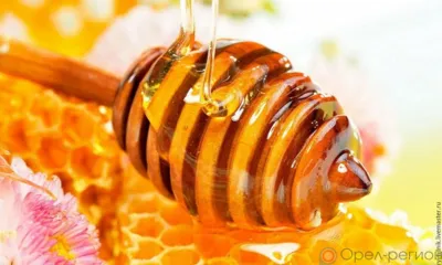 Орловцев приглашают на День мёда