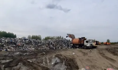 Вернуть природе чистоту