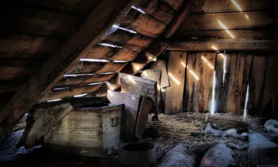 Житель Сосковского района хранил на чердаке марихуану