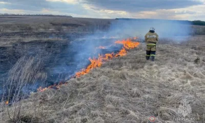 На Орловщине впервые в этом году горела сухая трава