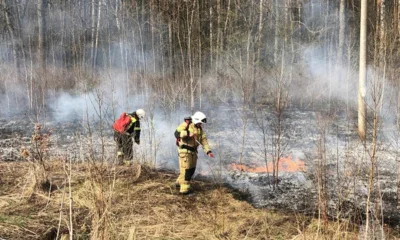 За сутки на Орловщине 11 раз горела сухая трава