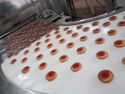 Фото 4. Орловская и Брестская области активно развивают межрегиональное сотрудничество в АПК и других сферах