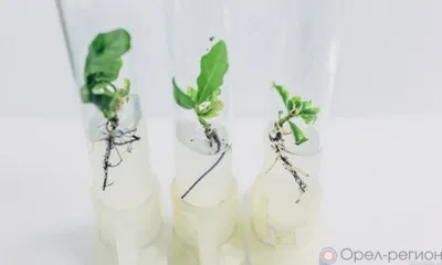 Итоги недели...