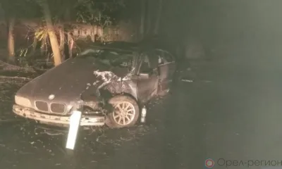 Ночью орловец на BMW врезался в дерево