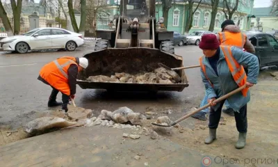 Орёл убирают после зимы