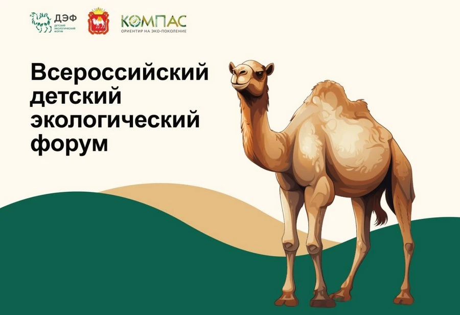 Финал детского экологического форума: определится лучший субботник страны