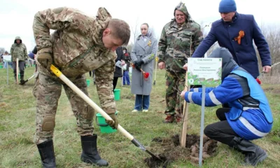 Фото 4. 67 молодых деревьев в рамках акции «Сад памяти» высадили в Орловском МО