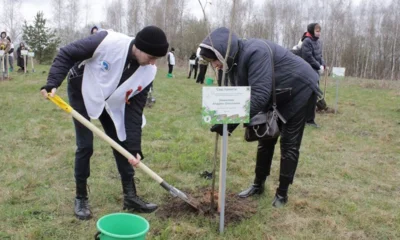 67 молодых деревьев в рамках акции «Сад памяти» высадили в Орловском МО