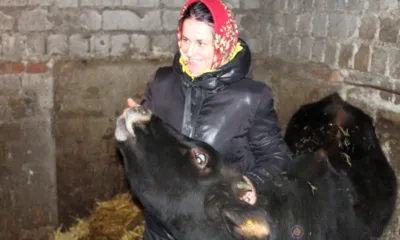 Олесина мечта