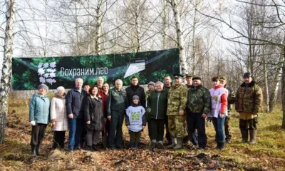 В Глазуновском районе сегодня высадили 13,5 тысяч сосен