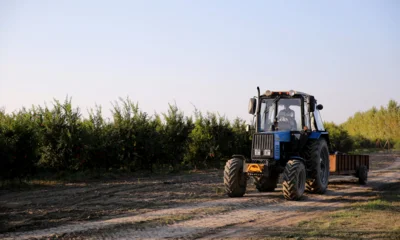 Почти 10 тысяч тонн непроверенных семян высадило орловское сельхозпредприятие