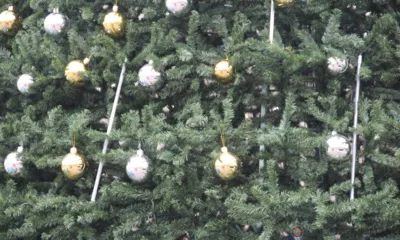 Пытавшегося украсть новогоднее настроение орловца задержали полицейские