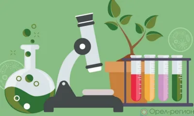 В Знаменском районе появятся 10 мест допобразования детей