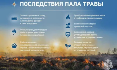 Орловцам напоминают об опасности пала сухой травы