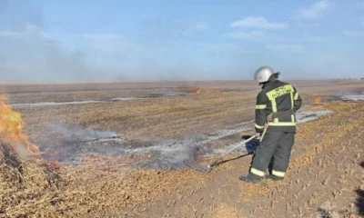 На Орловщине с начала года подтвердились 359 термических точек