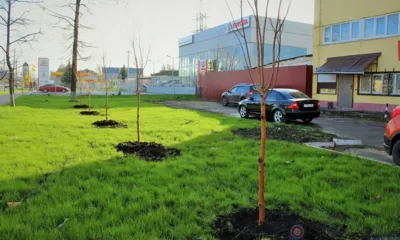 Рубрика «Компас в мире вопросов»