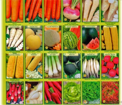 В Орле магазин торговал семенами без документов