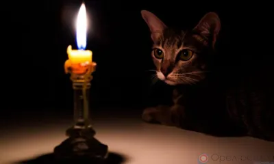 На Орловщине почти 300 населённых пунктов остались без электричества