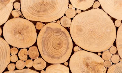 В Орловскую область ввезли пиломатериалы из Беларуси