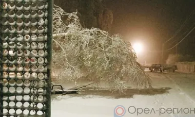 Орловские энергетики устраняют последствия ночного снегопада