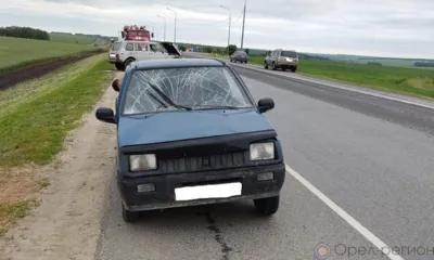 Виновник аварии с тремя пострадавшими на трассе «Орёл - Тамбов» скрылся с места ДТП