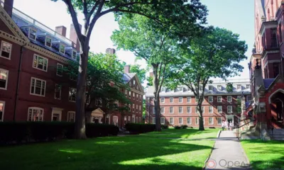 Бесплатное образование за рубежом