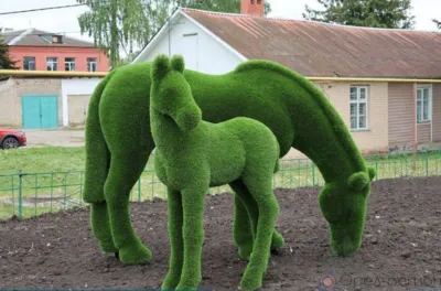 В Колпне установили топиарные фигуры лошади и жеребёнка