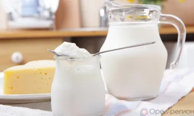 В сметане и кефире из Орловской области нашли антибиотики