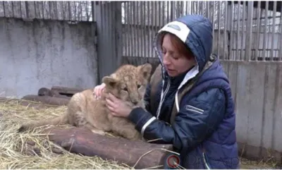 Итоги недели...