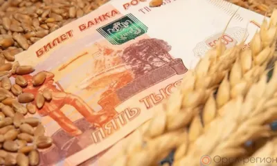 Орловская область в два раза увеличила экспорт зерна и продуктов его переработки