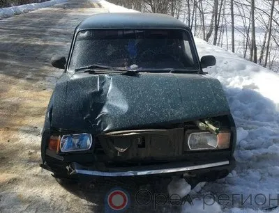 Под Орлом «пятёрка» вылетела в кювет и врезалась в дерево